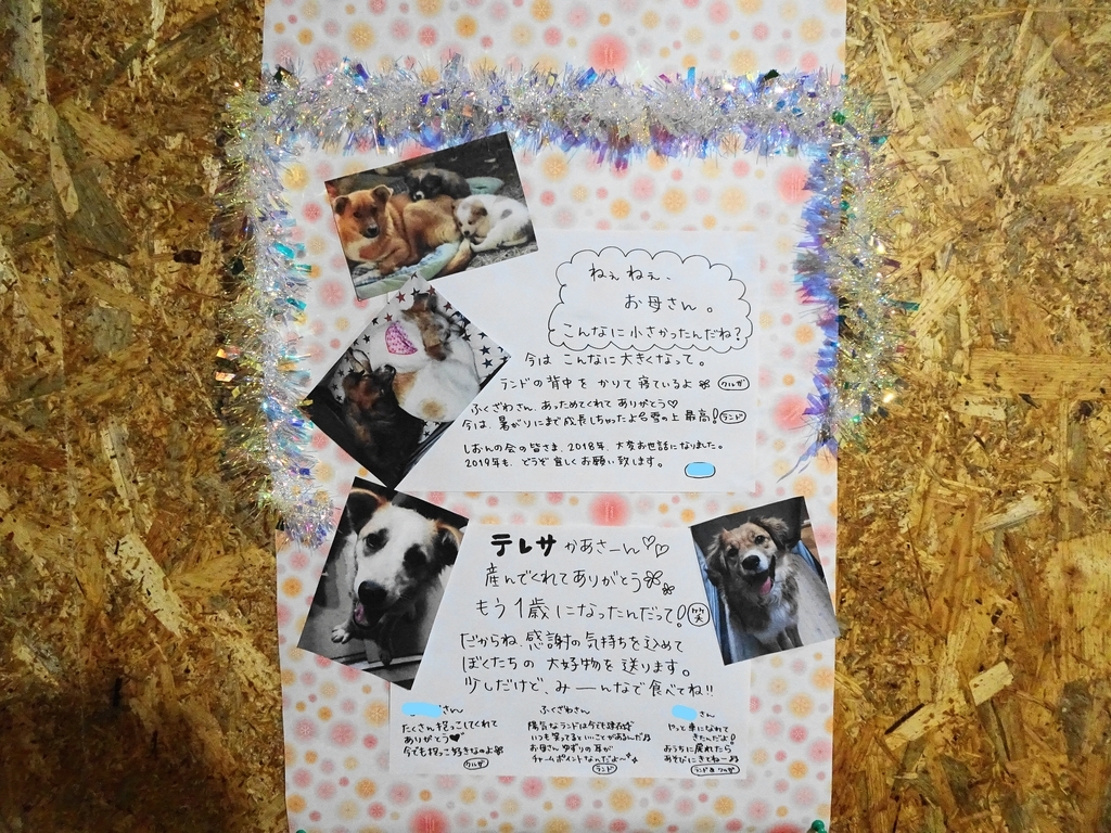 f:id:zion_hamanaka:20181225203734j:plain