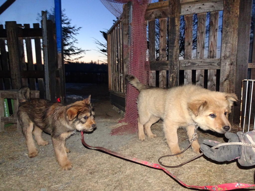 f:id:zion_hamanaka:20190110163640j:plain