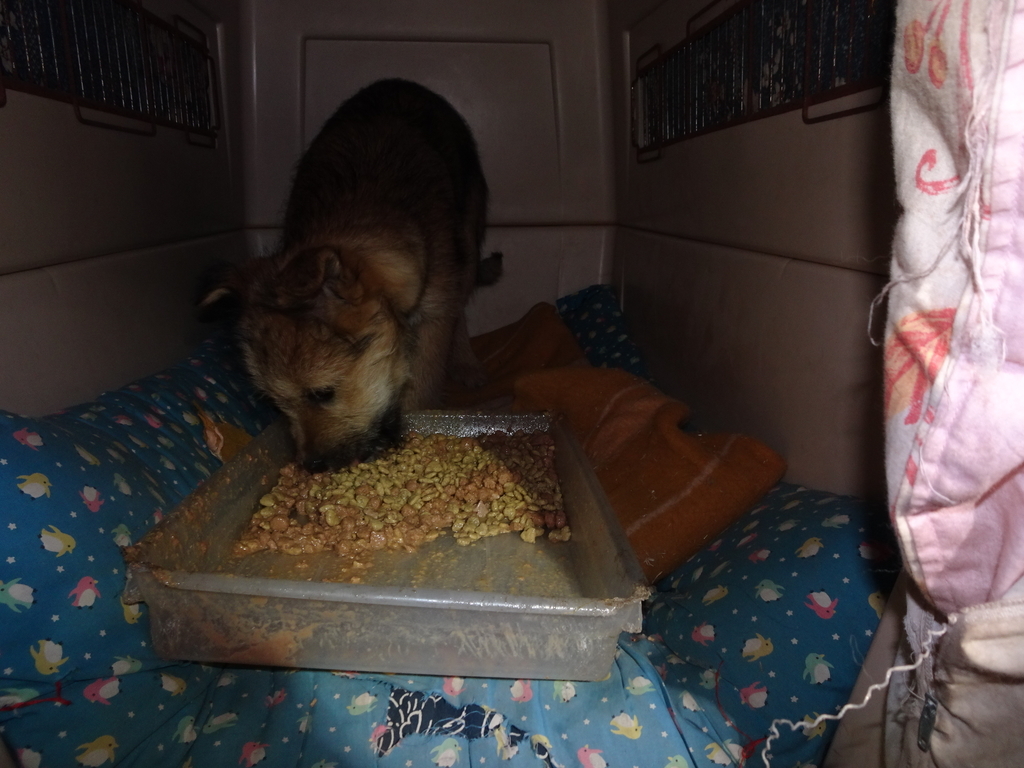 f:id:zion_hamanaka:20190110170930j:plain