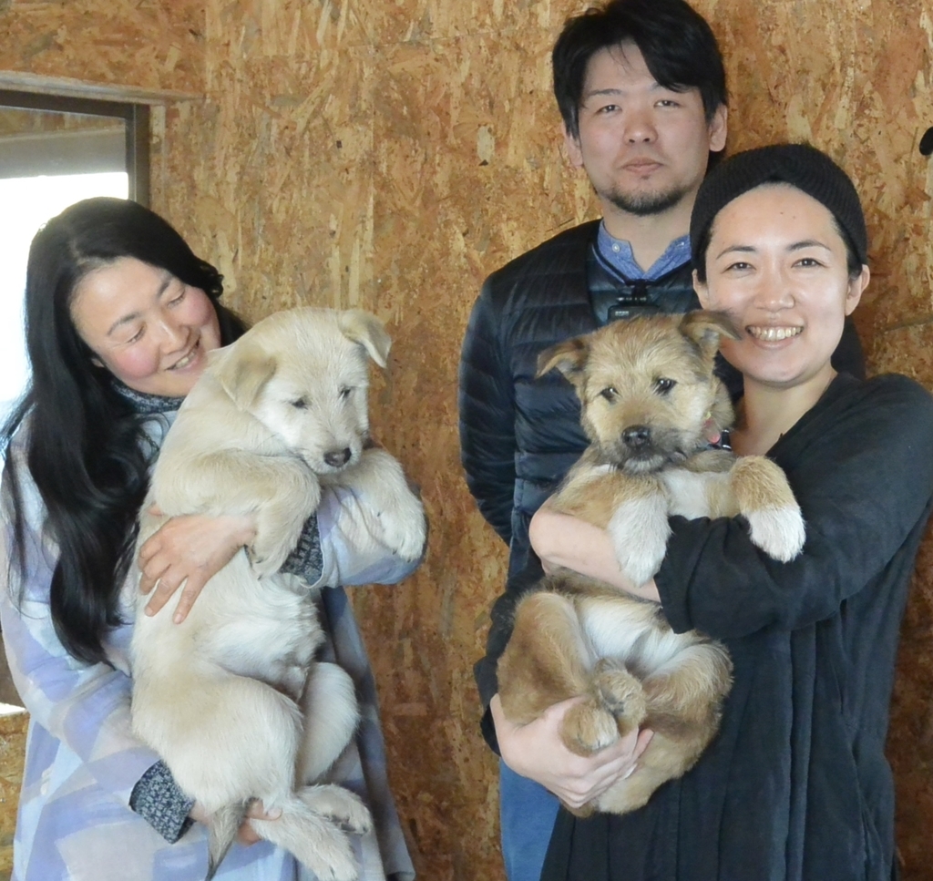 f:id:zion_hamanaka:20190114150355j:plain f:id:zion_hamanaka:20190114150355j:plain