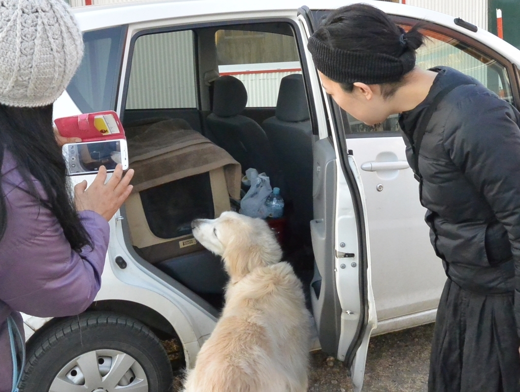 f:id:zion_hamanaka:20190114152859j:plain f:id:zion_hamanaka:20190114152859j:plain