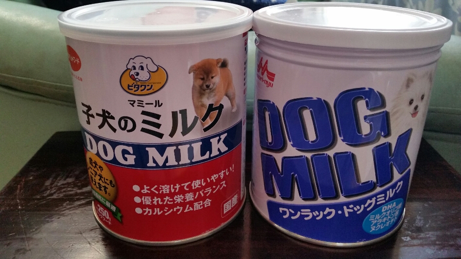 f:id:zion_hamanaka:20190120145046j:plain f:id:zion_hamanaka:20190120145046j:plain