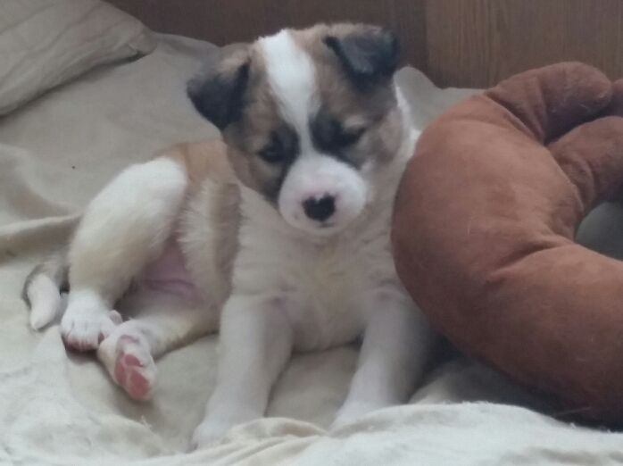 f:id:zion_hamanaka:20190129145234j:plain