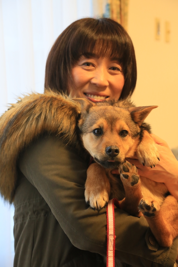 f:id:zion_hamanaka:20190217161210j:plain