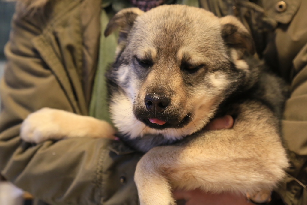 f:id:zion_hamanaka:20190217161250j:plain