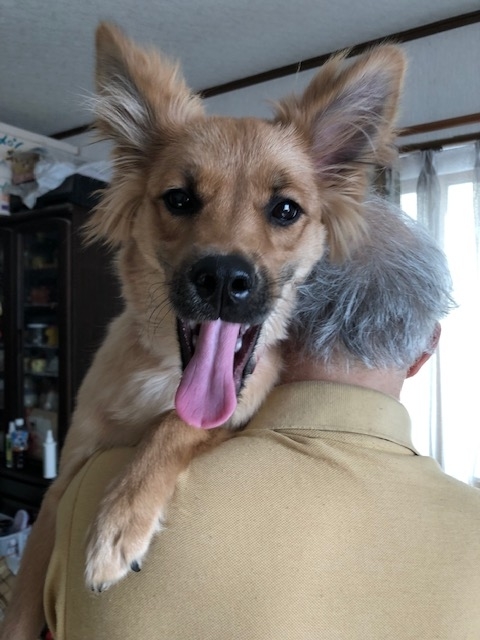 f:id:zion_hamanaka:20190217222736j:plain