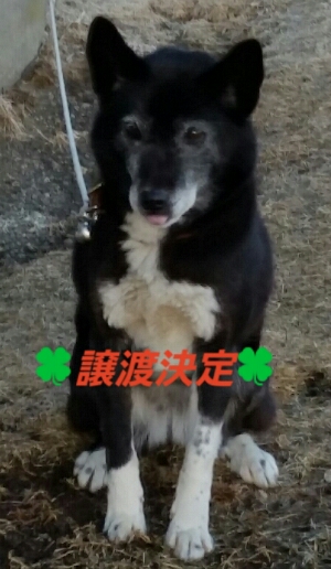f:id:zion_hamanaka:20190312210655j:plain f:id:zion_hamanaka:20190312210655j:plain