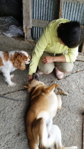 f:id:zion_hamanaka:20190313090419j:plain