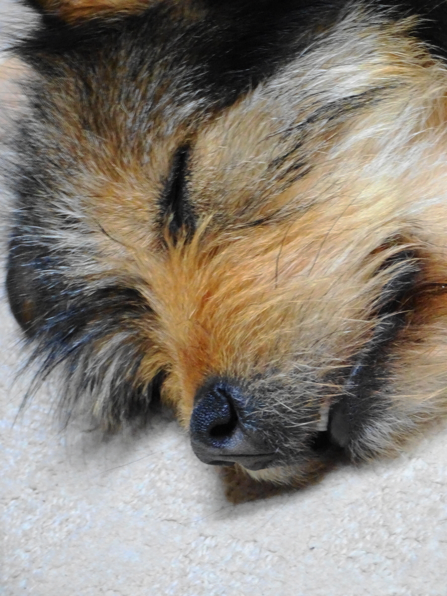 f:id:zion_hamanaka:20190315175127j:plain