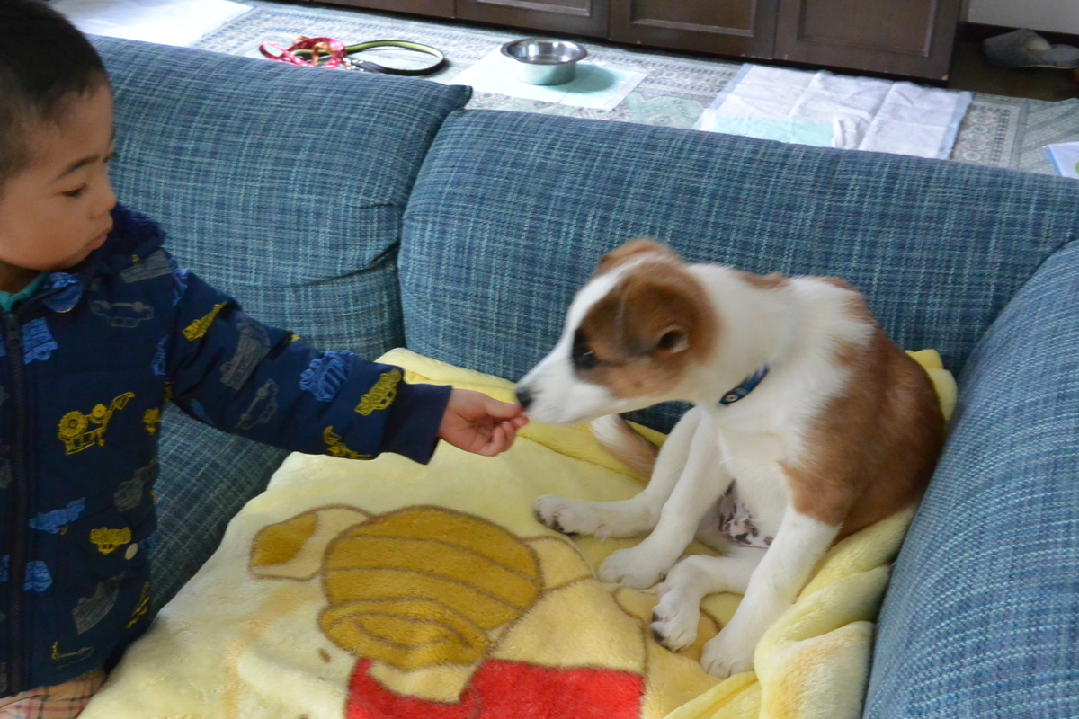 f:id:zion_hamanaka:20190317153409j:plain