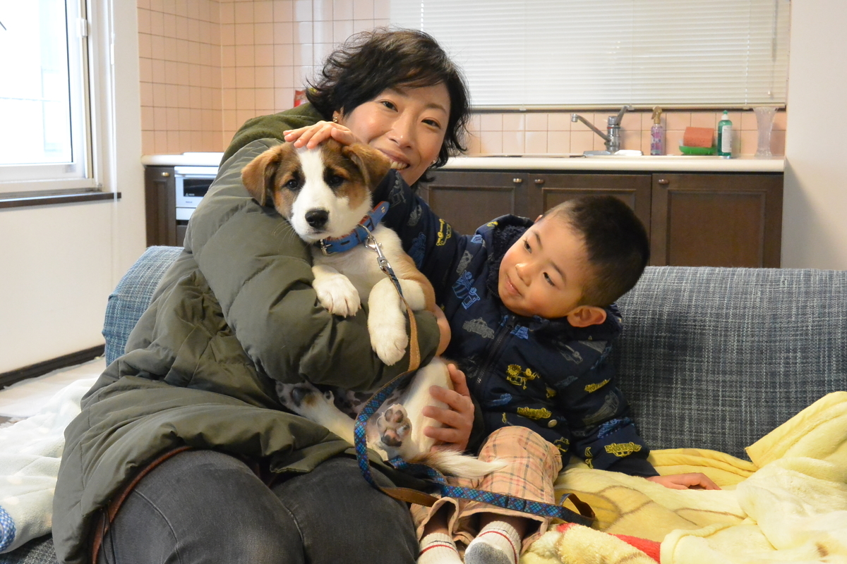 f:id:zion_hamanaka:20190317155709j:plain