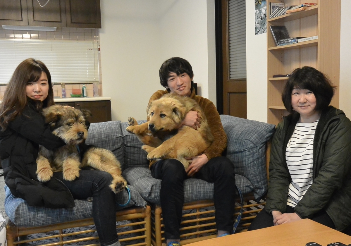 f:id:zion_hamanaka:20190317163925j:plain