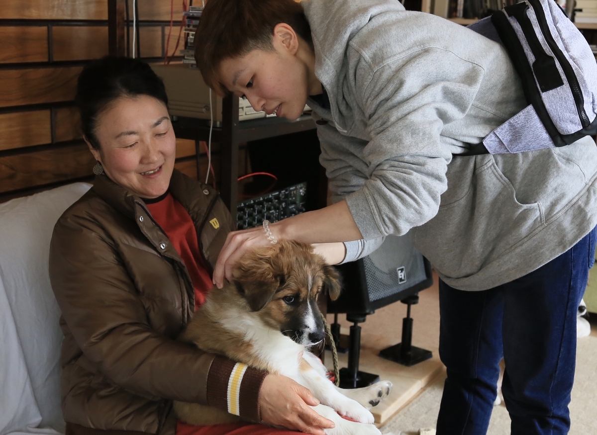 f:id:zion_hamanaka:20190324140909j:plain f:id:zion_hamanaka:20190324140909j:plain