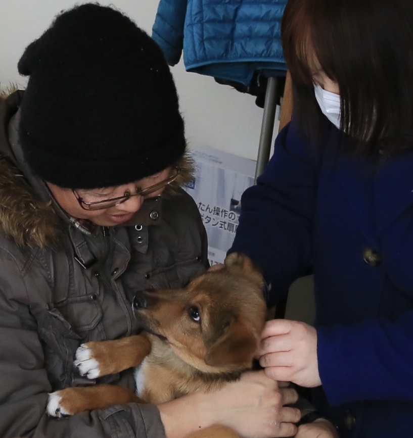 f:id:zion_hamanaka:20190324141010j:plain f:id:zion_hamanaka:20190324141010j:plain