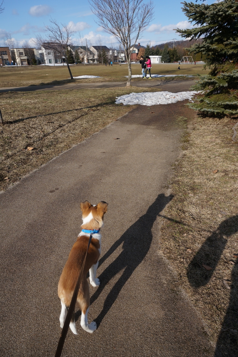 f:id:zion_hamanaka:20190403154724j:plain