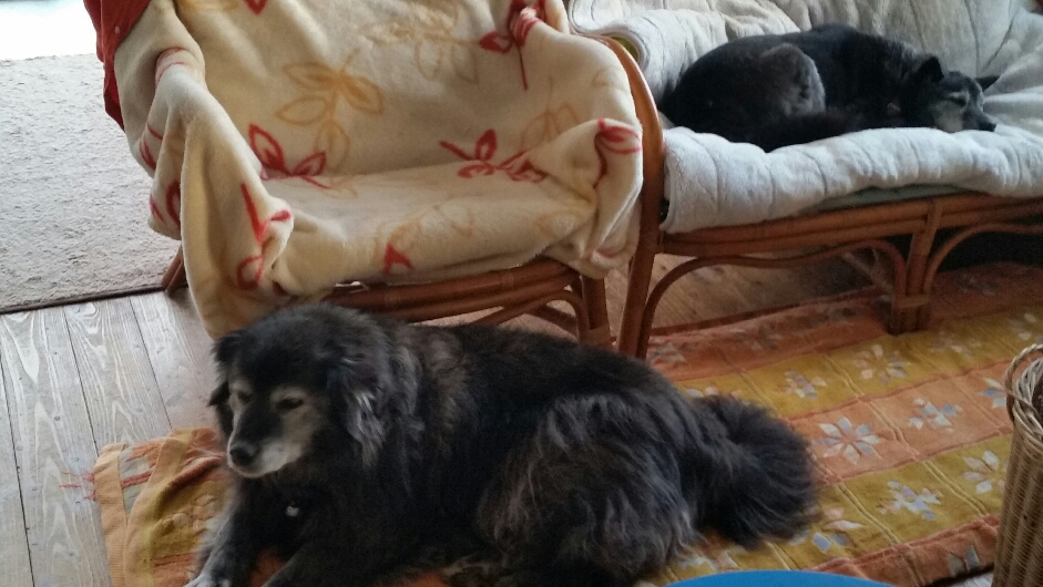 f:id:zion_hamanaka:20190414010358j:plain f:id:zion_hamanaka:20190414010358j:plain