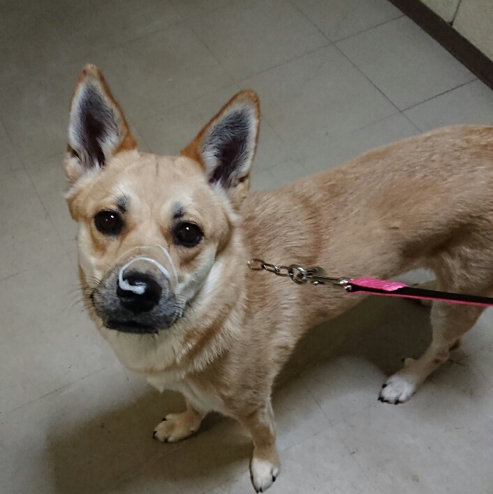 f:id:zion_hamanaka:20190424215612j:plain f:id:zion_hamanaka:20190424215612j:plain