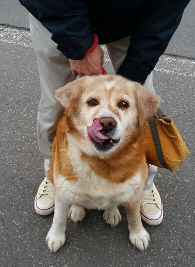 f:id:zion_hamanaka:20190427203248j:plain