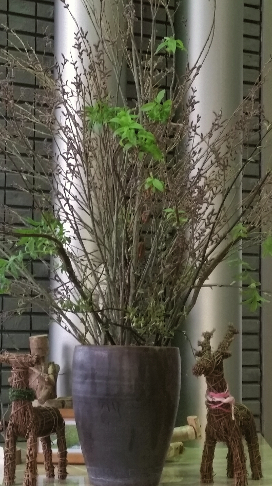 f:id:zion_hamanaka:20190427203504j:plain