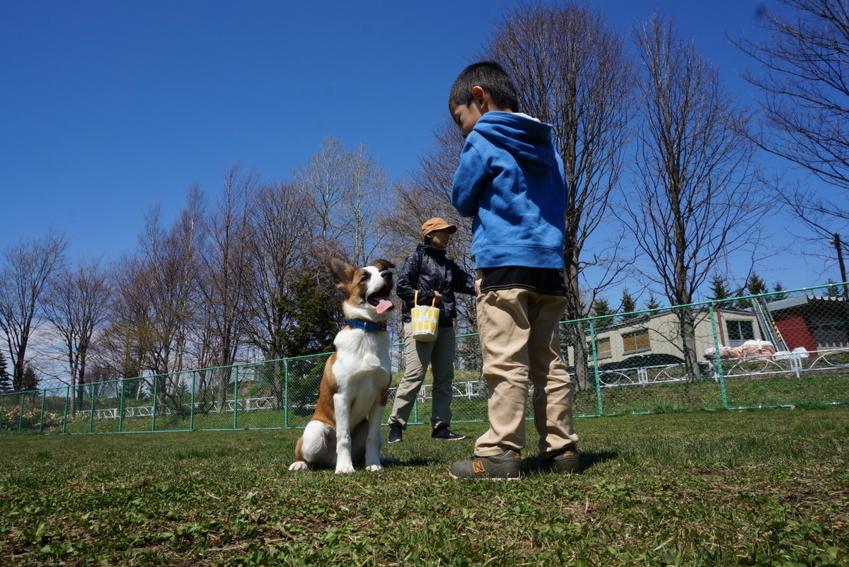 f:id:zion_hamanaka:20190428111719j:plain