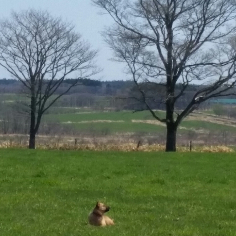 f:id:zion_hamanaka:20190515221830j:plain