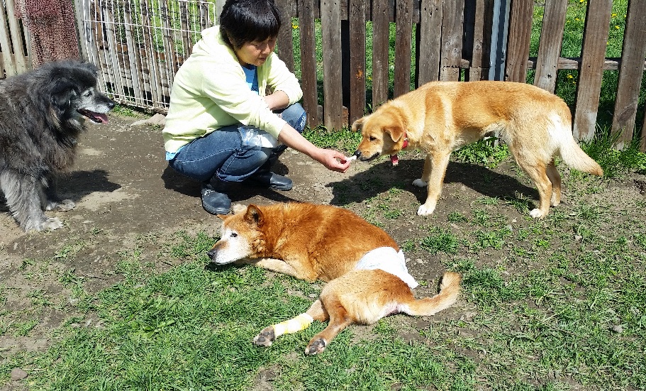 f:id:zion_hamanaka:20190525135933j:plain