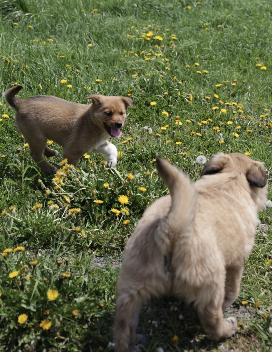 f:id:zion_hamanaka:20190526121439j:plain