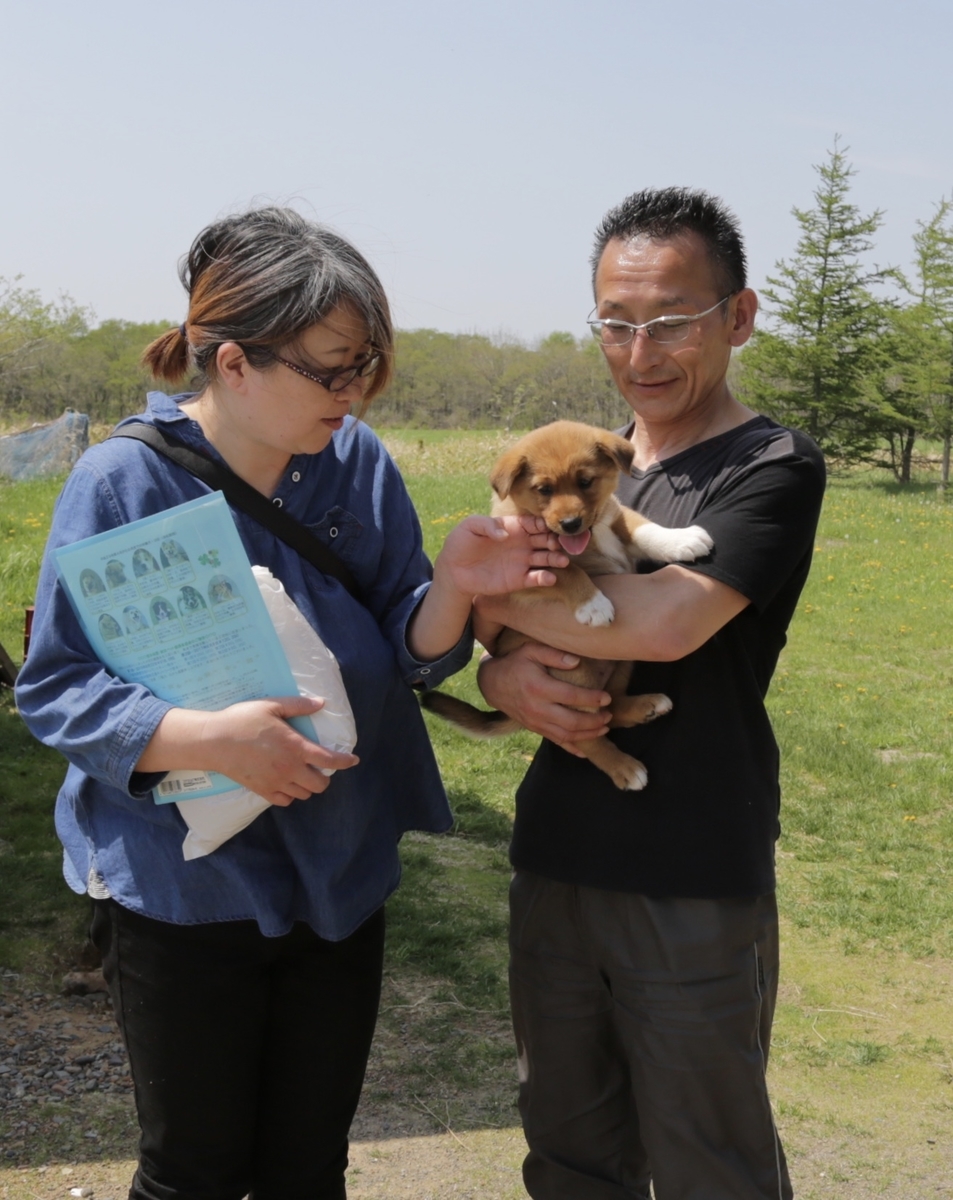 f:id:zion_hamanaka:20190526124443j:plain