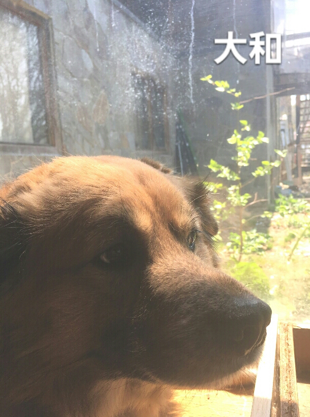f:id:zion_hamanaka:20190615164307j:plain f:id:zion_hamanaka:20190615164307j:plain