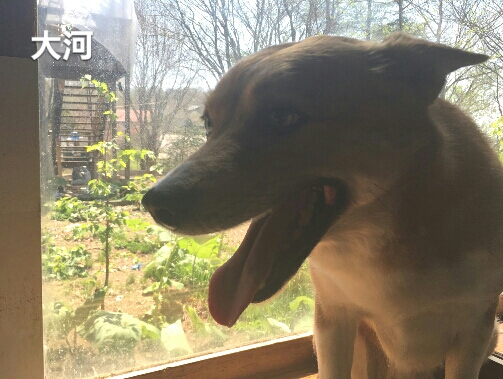 f:id:zion_hamanaka:20190617061346j:plain f:id:zion_hamanaka:20190617061346j:plain