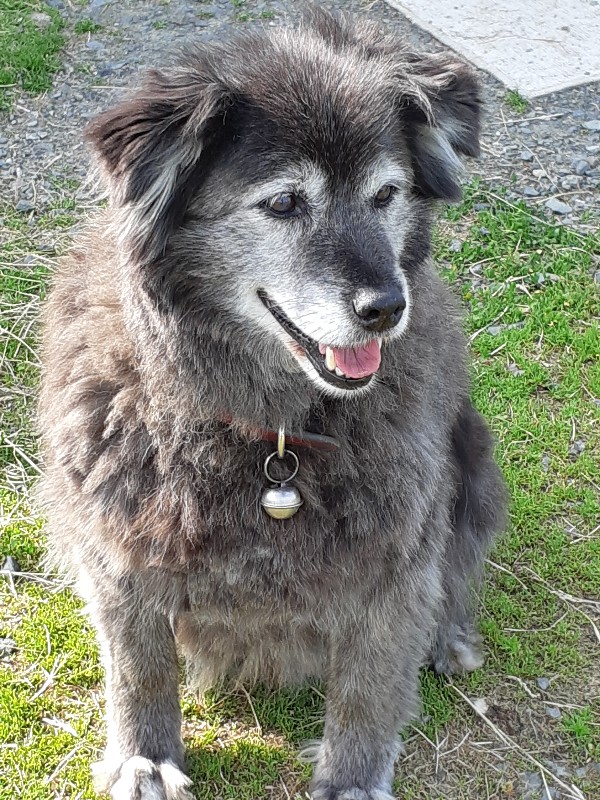 f:id:zion_hamanaka:20190617154508j:plain