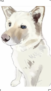 f:id:zion_hamanaka:20190712083738j:plain f:id:zion_hamanaka:20190712083738j:plain