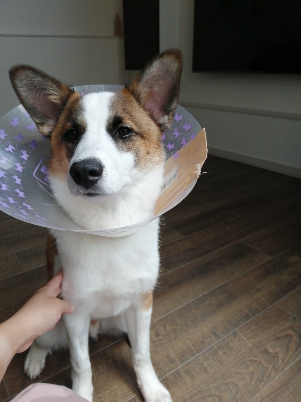 f:id:zion_hamanaka:20190718094740j:plain f:id:zion_hamanaka:20190718094740j:plain