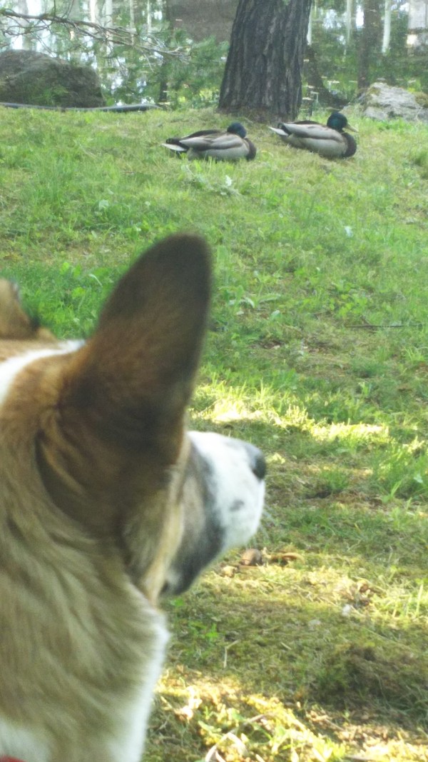 f:id:zion_hamanaka:20190721062919j:plain