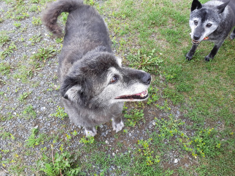 f:id:zion_hamanaka:20190722010232j:plain