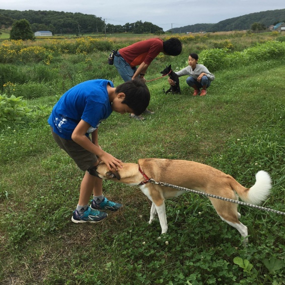 f:id:zion_hamanaka:20190907163748j:plain