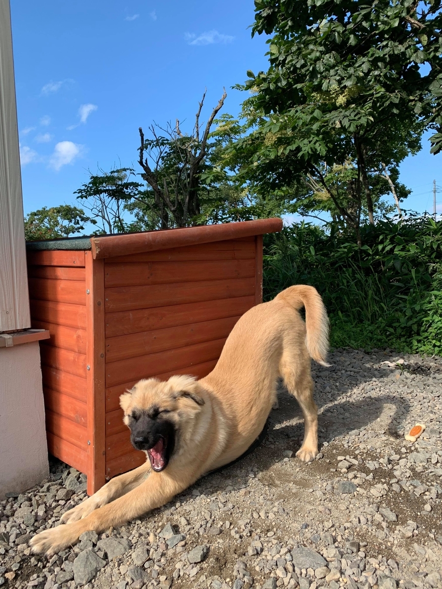 f:id:zion_hamanaka:20190909085624j:plain