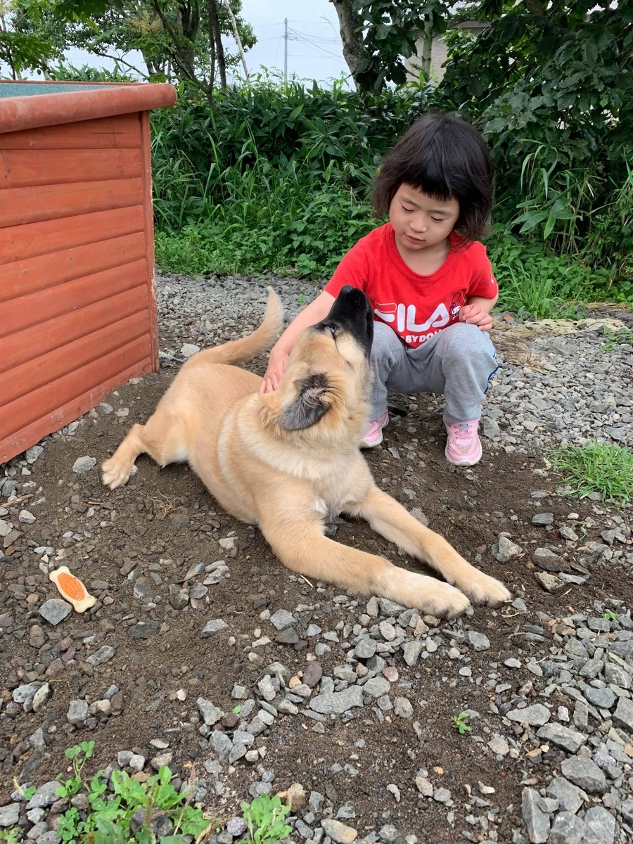 f:id:zion_hamanaka:20190909085724j:plain