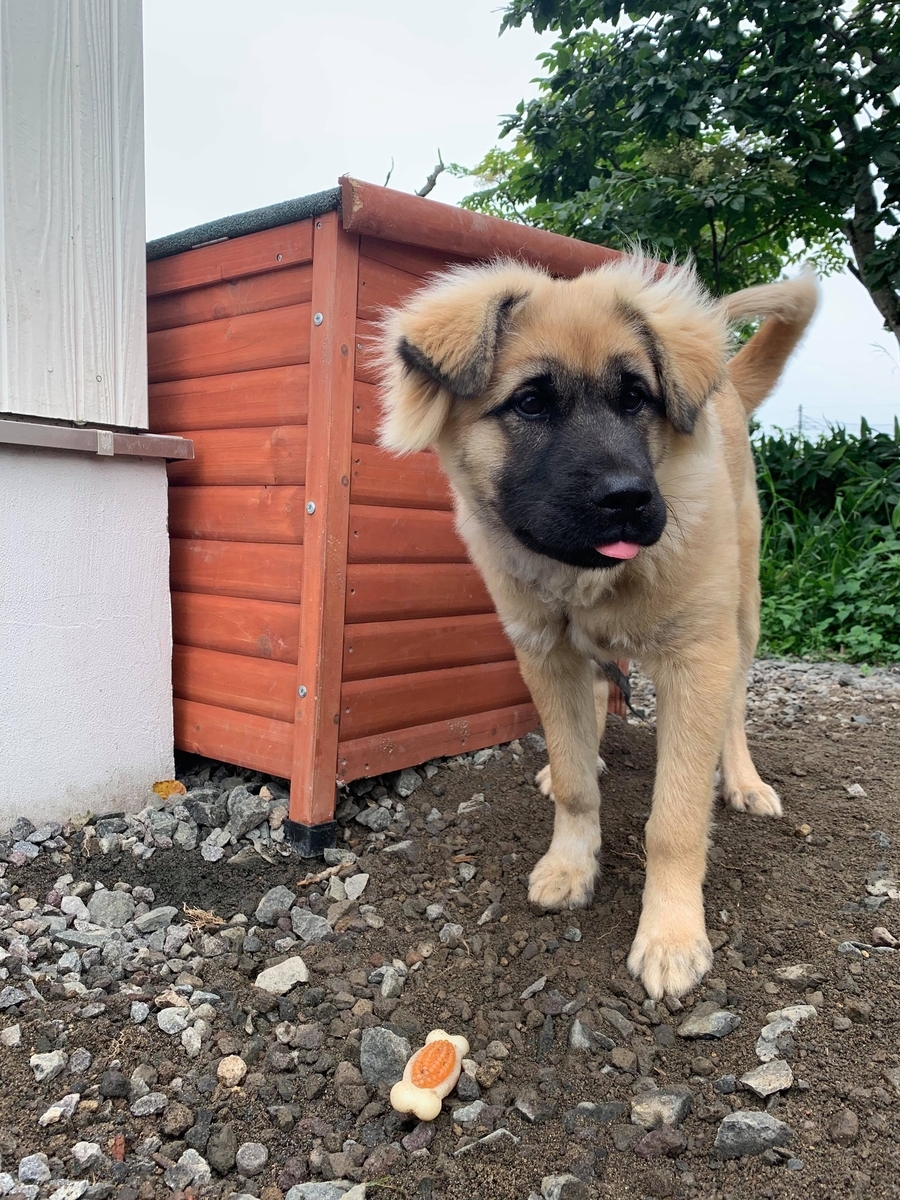 f:id:zion_hamanaka:20190909085732j:plain