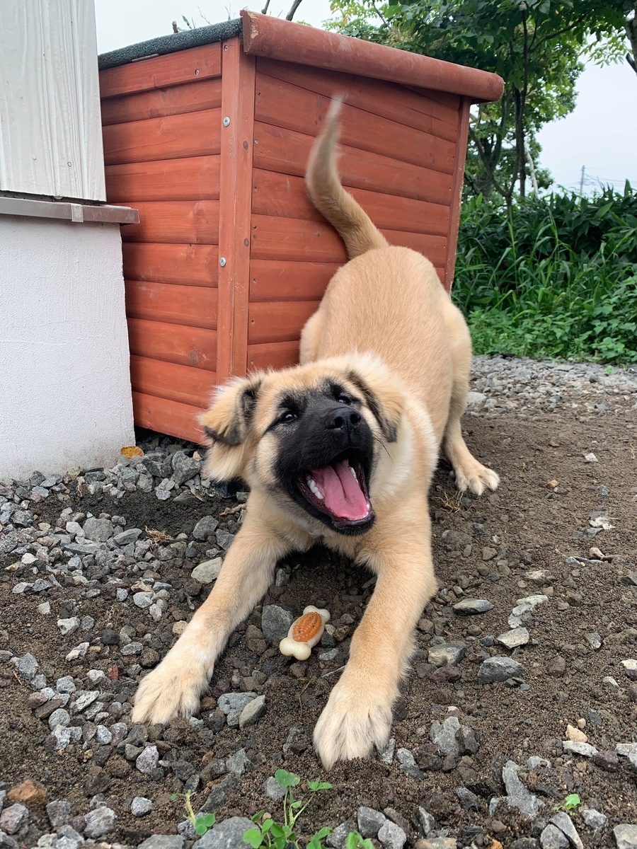 f:id:zion_hamanaka:20190909085744j:plain
