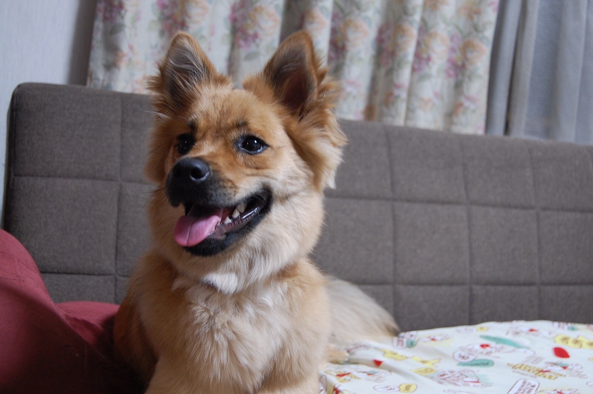 f:id:zion_hamanaka:20190917092346j:plain