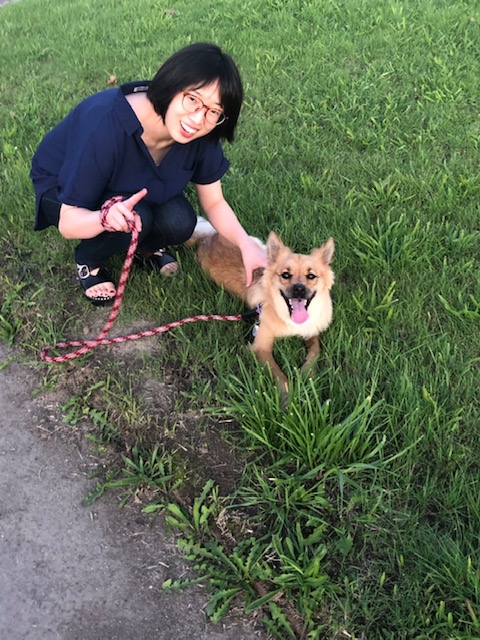 f:id:zion_hamanaka:20190917092407j:plain
