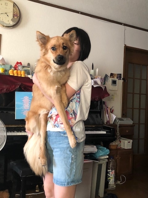 f:id:zion_hamanaka:20190917092523j:plain