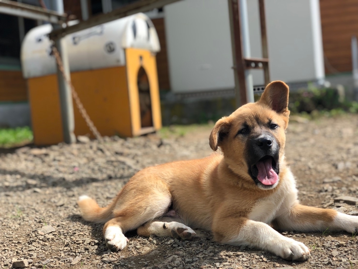 f:id:zion_hamanaka:20191005095101j:plain