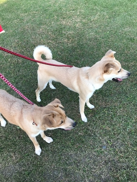 f:id:zion_hamanaka:20191021153230j:plain