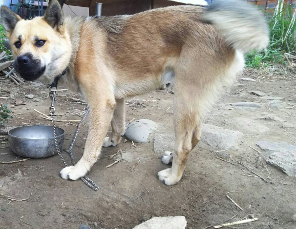 f:id:zion_hamanaka:20191023110633j:plain