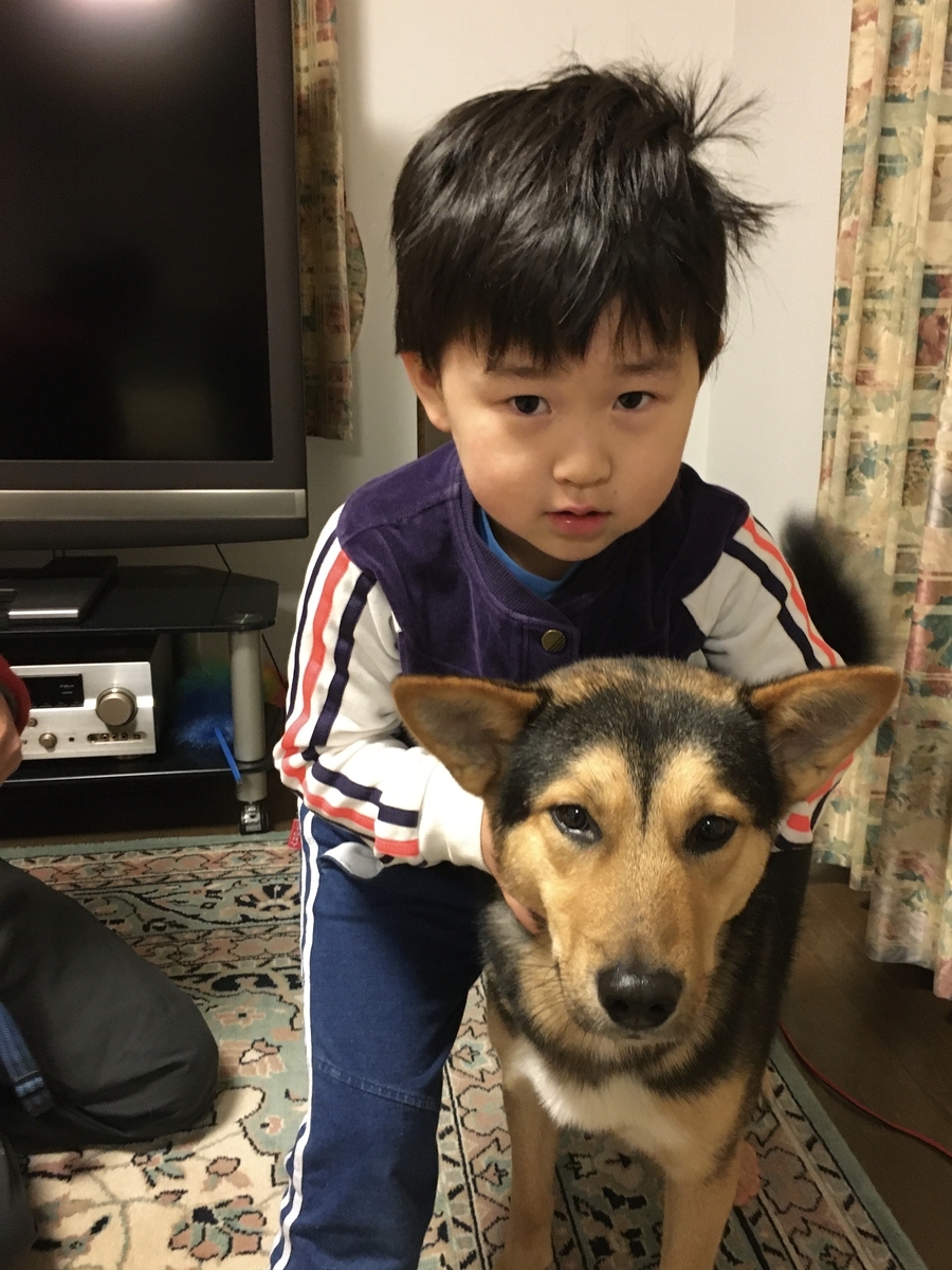 f:id:zion_hamanaka:20191125063555j:plain