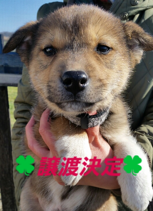 f:id:zion_hamanaka:20191202141158j:plain
