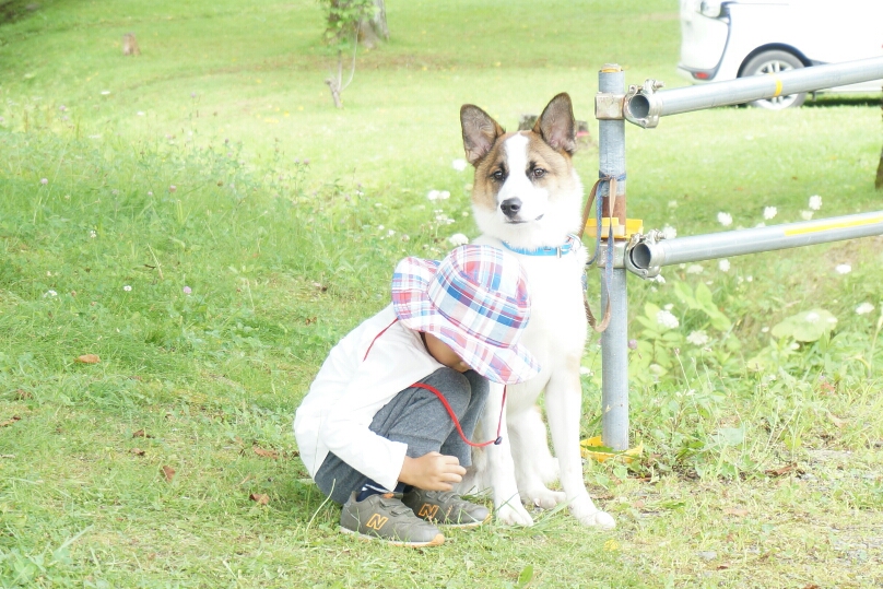 f:id:zion_hamanaka:20191204205823j:plain