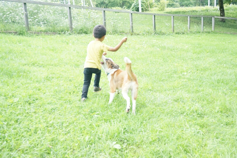 f:id:zion_hamanaka:20191204205833j:plain